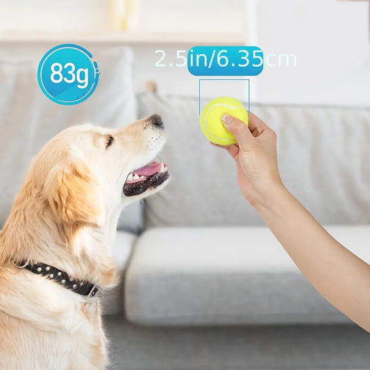 Dog Tennis Balls Set